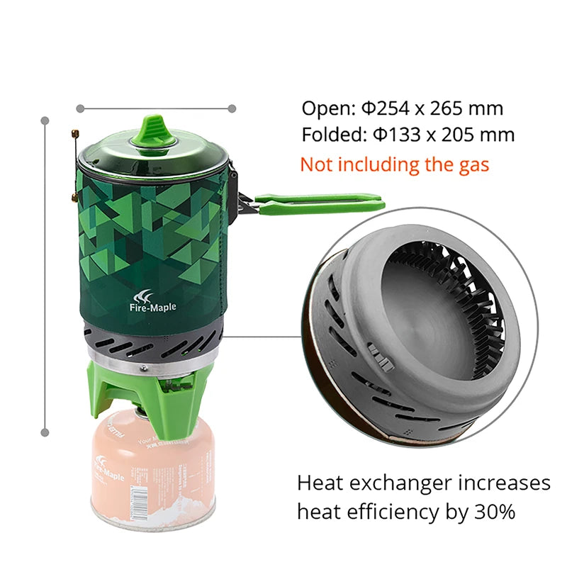 Portable Outdoor Gas Stove Cooking System